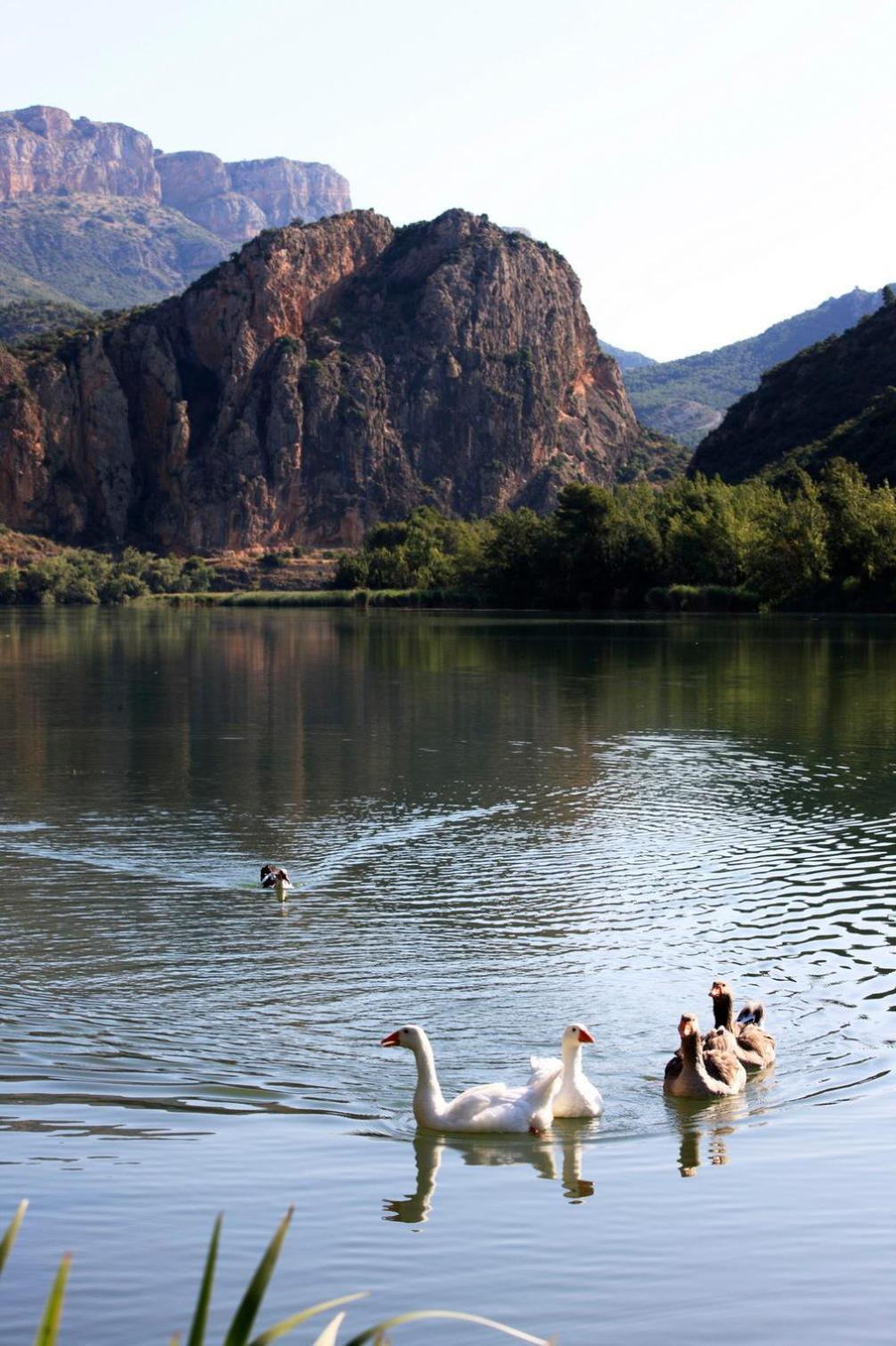La Noguera Camping Sant Llorenç de Montgai Екстериор снимка